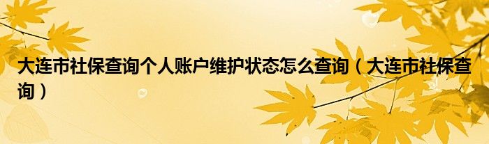 大连市社保查询个人账户维护状态怎么查询（大连市社保查询）