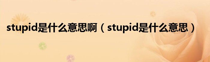 stupid是什么意思啊（stupid是什么意思）