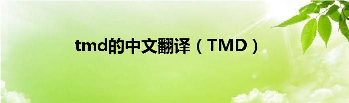 tmd的中文翻译（TMD）