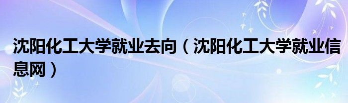 沈阳化工大学就业去向（沈阳化工大学就业信息网）