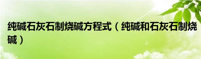 纯碱石灰石制烧碱方程式（纯碱和石灰石制烧碱）