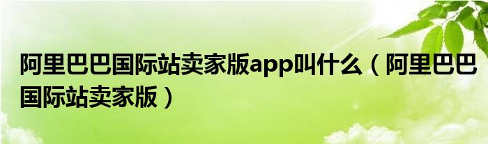 阿里巴巴国际站卖家版app叫什么（阿里巴巴国际站卖家版）