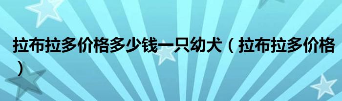 拉布拉多价格多少钱一只幼犬（拉布拉多价格）