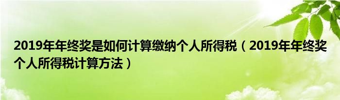 2019年年终奖是如何计算缴纳个人所得税（2019年年终奖个人所得税计算方法）