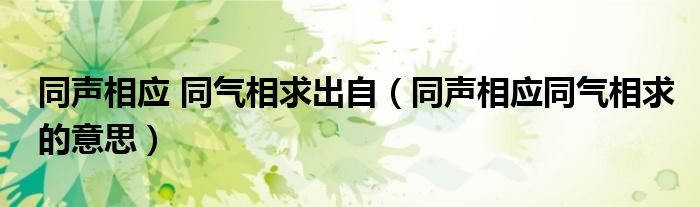 同声相应 同气相求出自（同声相应同气相求的意思）