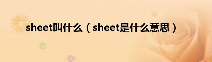 sheet叫什么（sheet是什么意思）