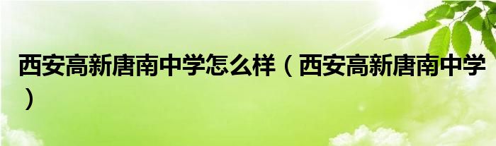 西安高新唐南中学怎么样（西安高新唐南中学）