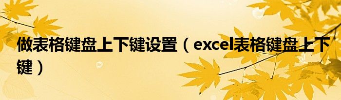 做表格键盘上下键设置（excel表格键盘上下键）