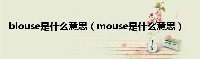 blouse是什么意思（mouse是什么意思）