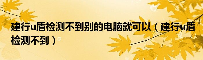 建行u盾检测不到别的电脑就可以（建行u盾检测不到）