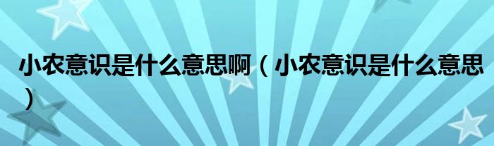 小农意识是什么意思啊（小农意识是什么意思）