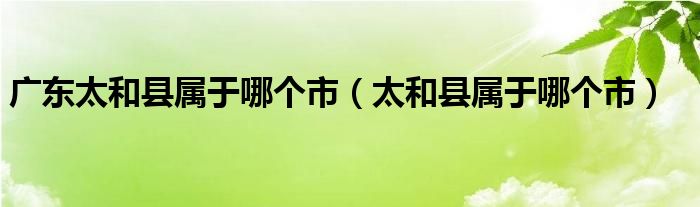 广东太和县属于哪个市（太和县属于哪个市）