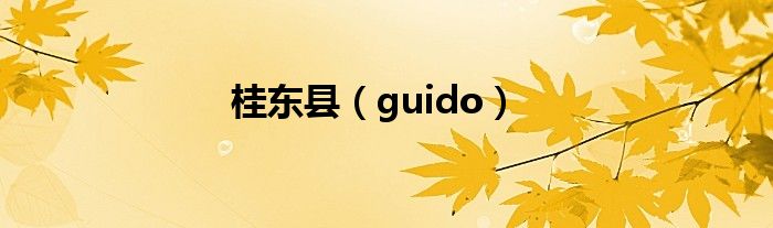 桂东县（guido）