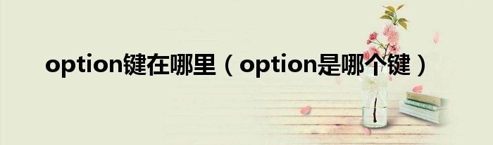 option键在哪里（option是哪个键）