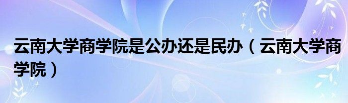 云南大学商学院是公办还是民办（云南大学商学院）