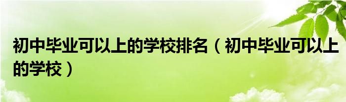 初中毕业可以上的学校排名（初中毕业可以上的学校）