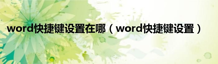 word快捷键设置在哪（word快捷键设置）