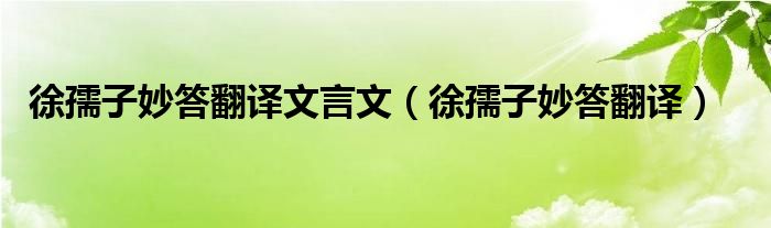 徐孺子妙答翻译文言文（徐孺子妙答翻译）