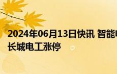 2024年06月13日快讯 智能电网概念股震荡反弹，北京科锐 长城电工涨停