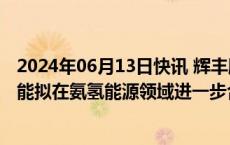 2024年06月13日快讯 辉丰股份：子公司辉丰石化与宝武清能拟在氨氢能源领域进一步合作