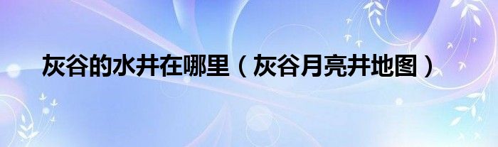 灰谷的水井在哪里（灰谷月亮井地图）