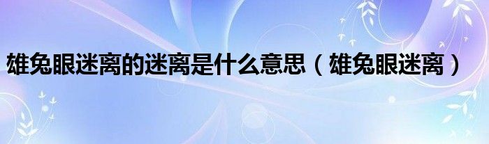 雄兔眼迷离的迷离是什么意思（雄兔眼迷离）