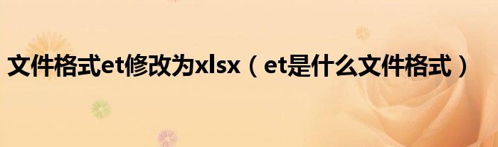 文件格式et修改为xlsx（et是什么文件格式）