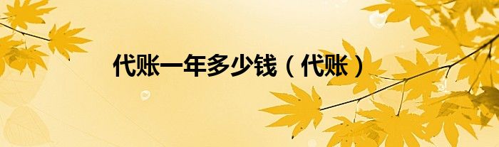 代账一年多少钱（代账）