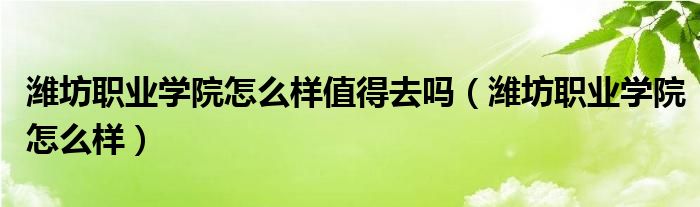 潍坊职业学院怎么样值得去吗（潍坊职业学院怎么样）