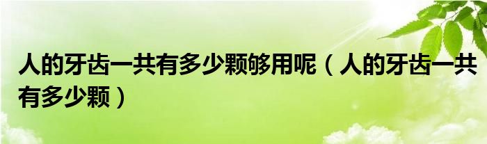 人的牙齿一共有多少颗够用呢（人的牙齿一共有多少颗）