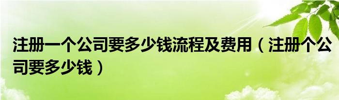 注册一个公司要多少钱流程及费用（注册个公司要多少钱）