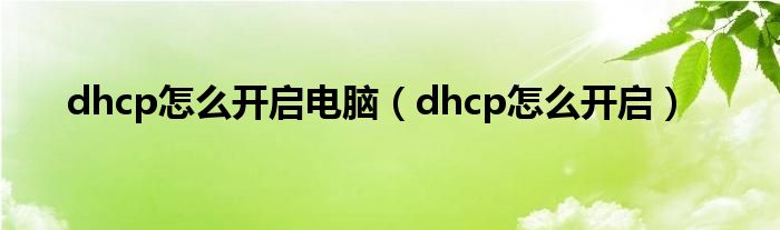 dhcp怎么开启电脑（dhcp怎么开启）