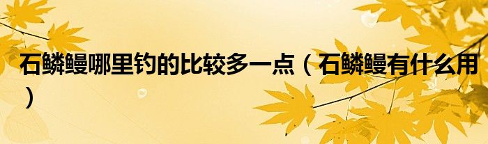 石鳞鳗哪里钓的比较多一点（石鳞鳗有什么用）