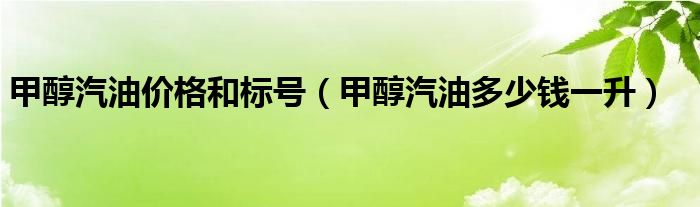 甲醇汽油价格和标号（甲醇汽油多少钱一升）