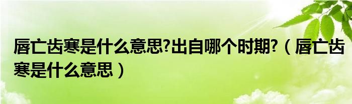 唇亡齿寒是什么意思?出自哪个时期?（唇亡齿寒是什么意思）