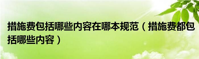 措施费包括哪些内容在哪本规范（措施费都包括哪些内容）