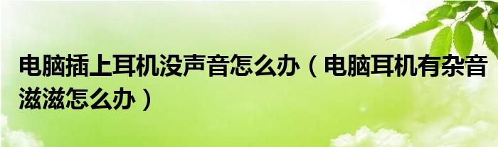 电脑插上耳机没声音怎么办（电脑耳机有杂音滋滋怎么办）