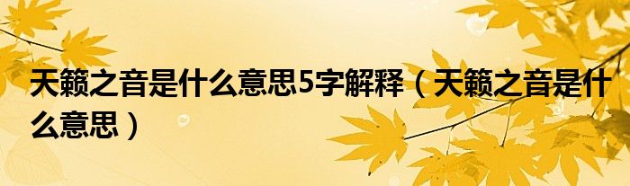 天籁之音是什么意思5字解释（天籁之音是什么意思）