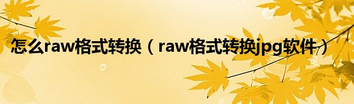 怎么raw格式转换（raw格式转换jpg软件）