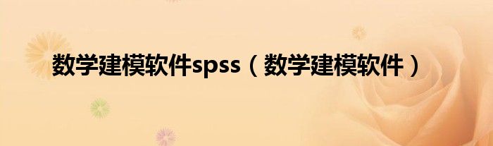 数学建模软件spss（数学建模软件）