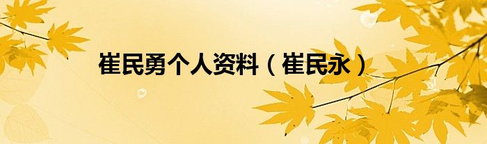 崔民勇个人资料（崔民永）