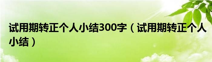 试用期转正个人小结300字（试用期转正个人小结）