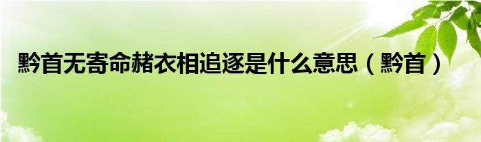 黔首无寄命赭衣相追逐是什么意思（黔首）