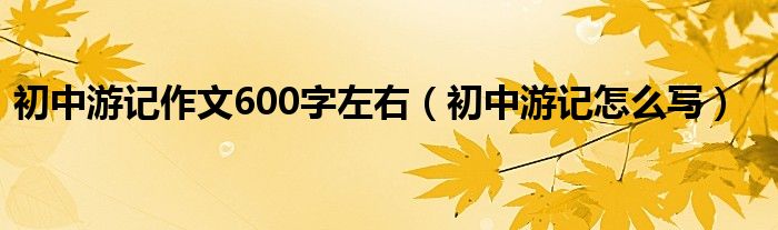 初中游记作文600字左右（初中游记怎么写）