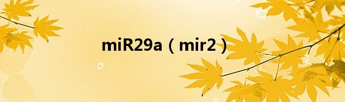 miR29a（mir2）