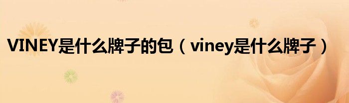 VINEY是什么牌子的包（viney是什么牌子）