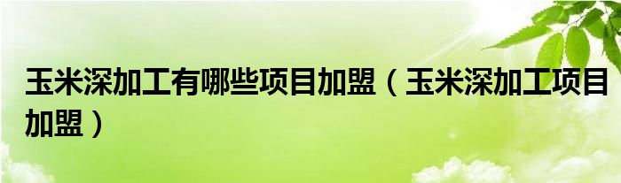 玉米深加工有哪些项目加盟（玉米深加工项目加盟）