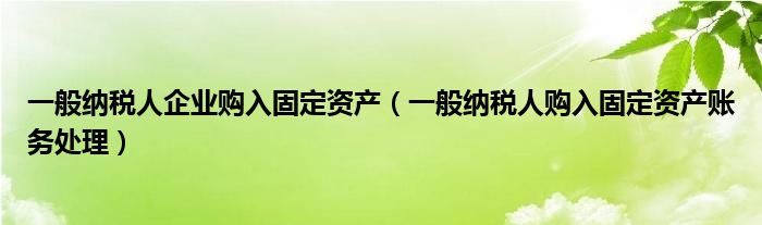 一般纳税人企业购入固定资产（一般纳税人购入固定资产账务处理）