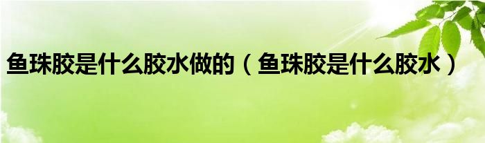 鱼珠胶是什么胶水做的（鱼珠胶是什么胶水）