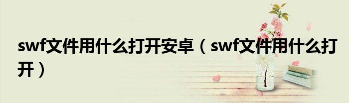 swf文件用什么打开安卓（swf文件用什么打开）